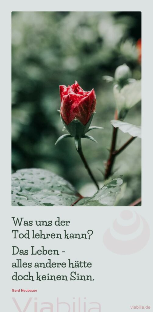 Gerd Neubauer Spruch, was uns der Tod lehren kann
