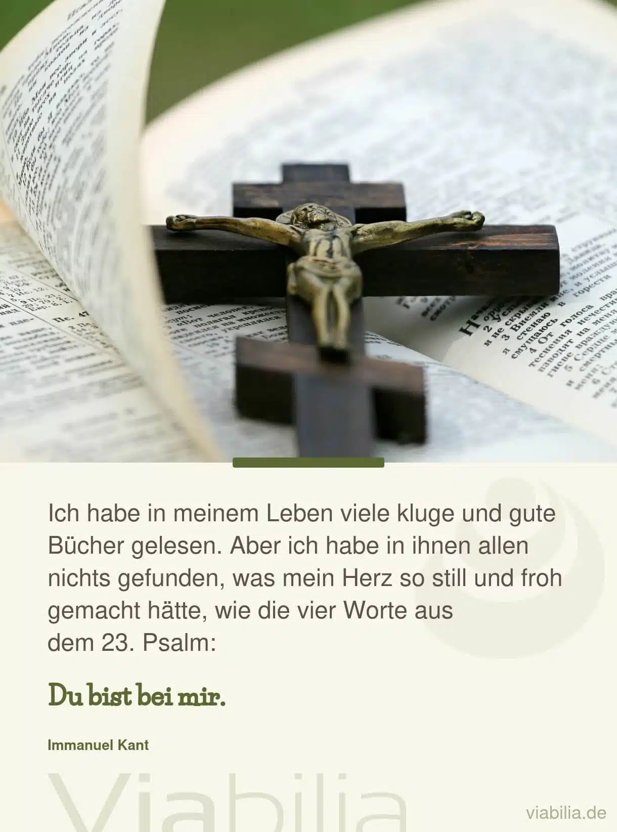 Trost in Gottes Führung finden