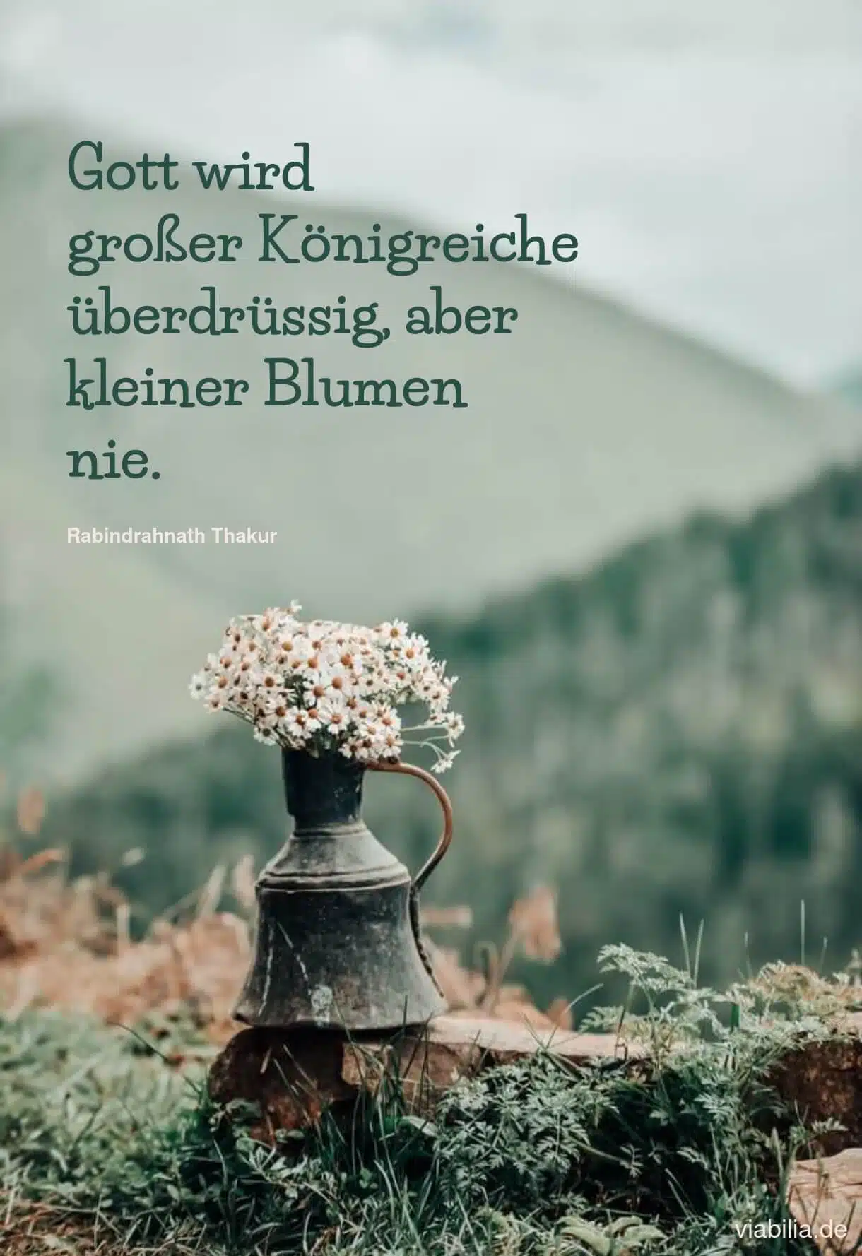 Spruch über Gott, der Blumen liebt