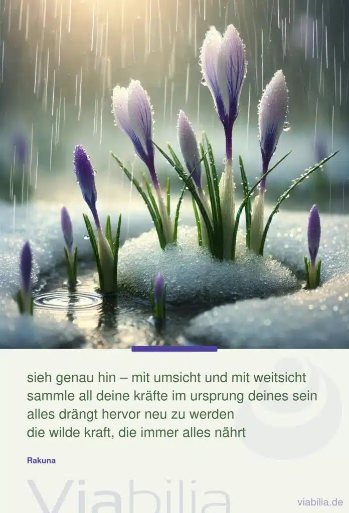 Rakuna Spruch über Umsicht und Weitsicht
