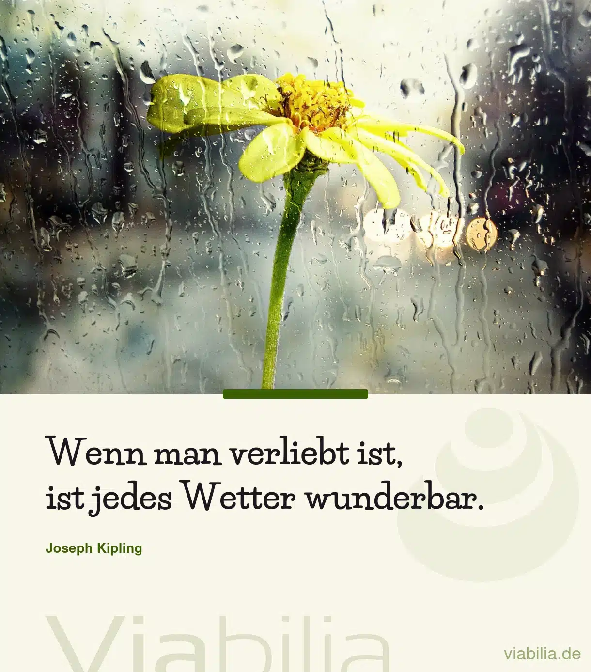 Spruch mit Bild für WhatsApp: wer verliebt ist