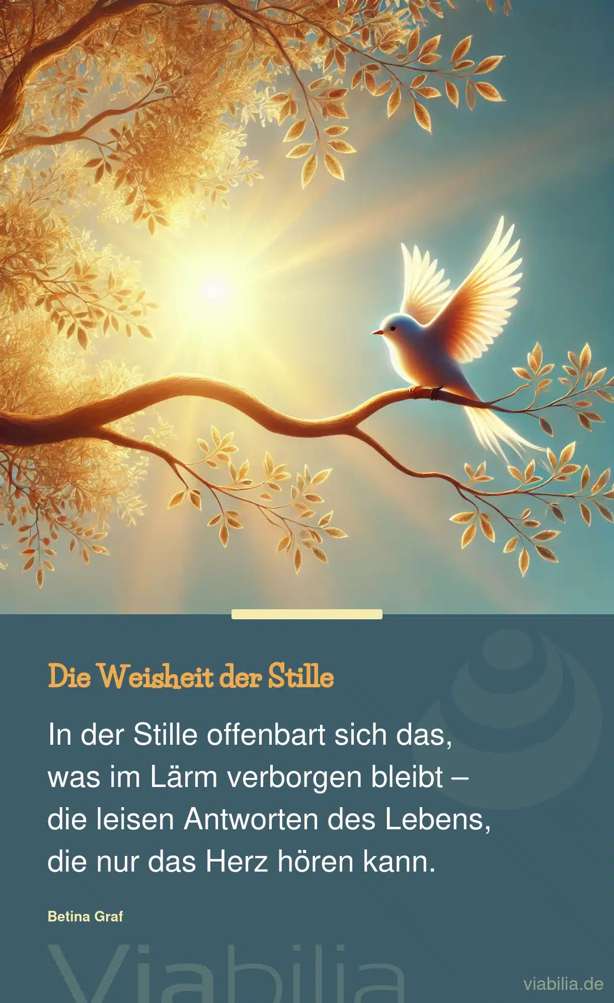Spruch: die Weisheit der Stille