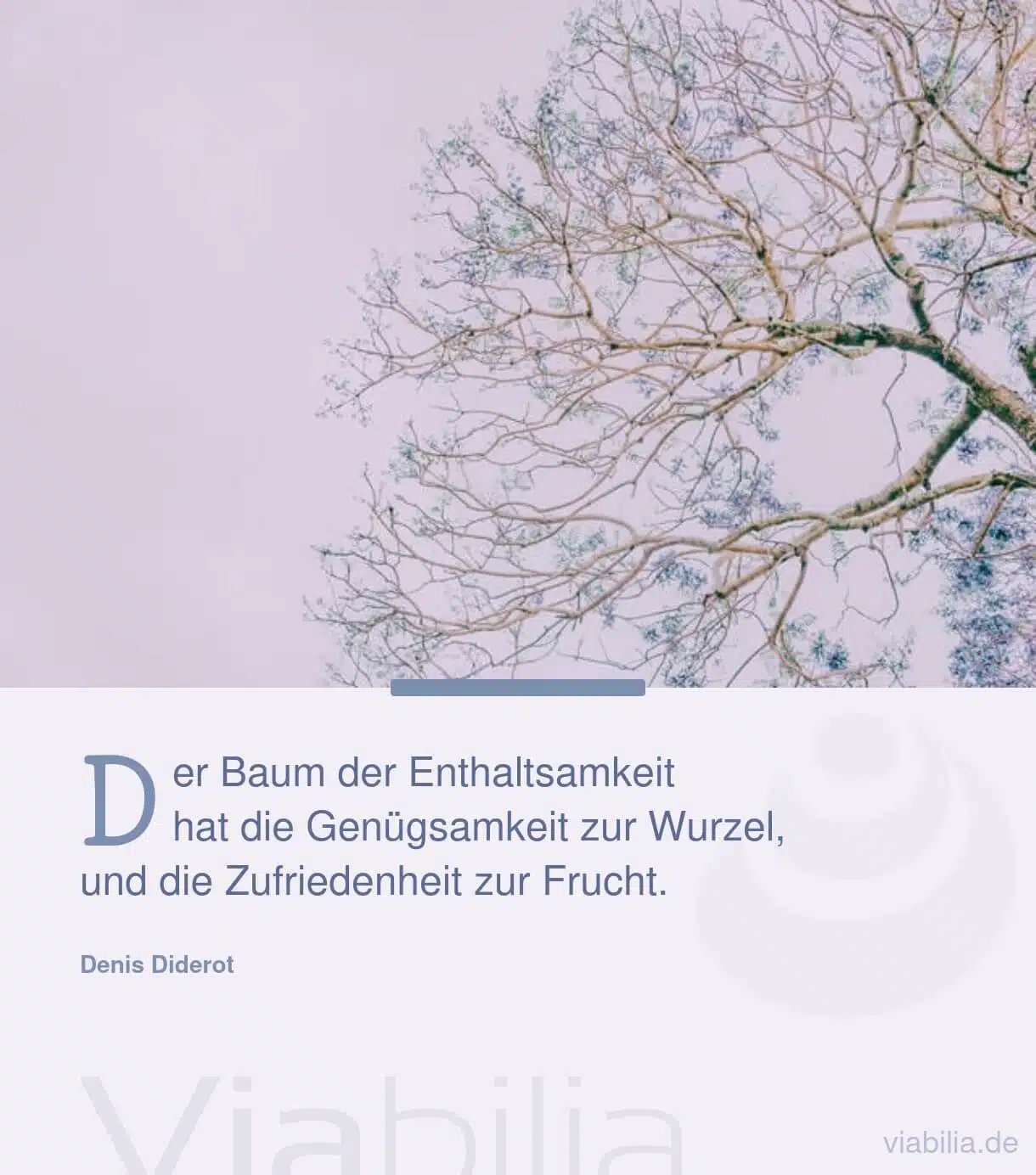 Metapher über Zufriedenheit