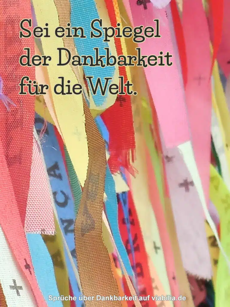 Sprüche über Dankbarkeit auf Bild