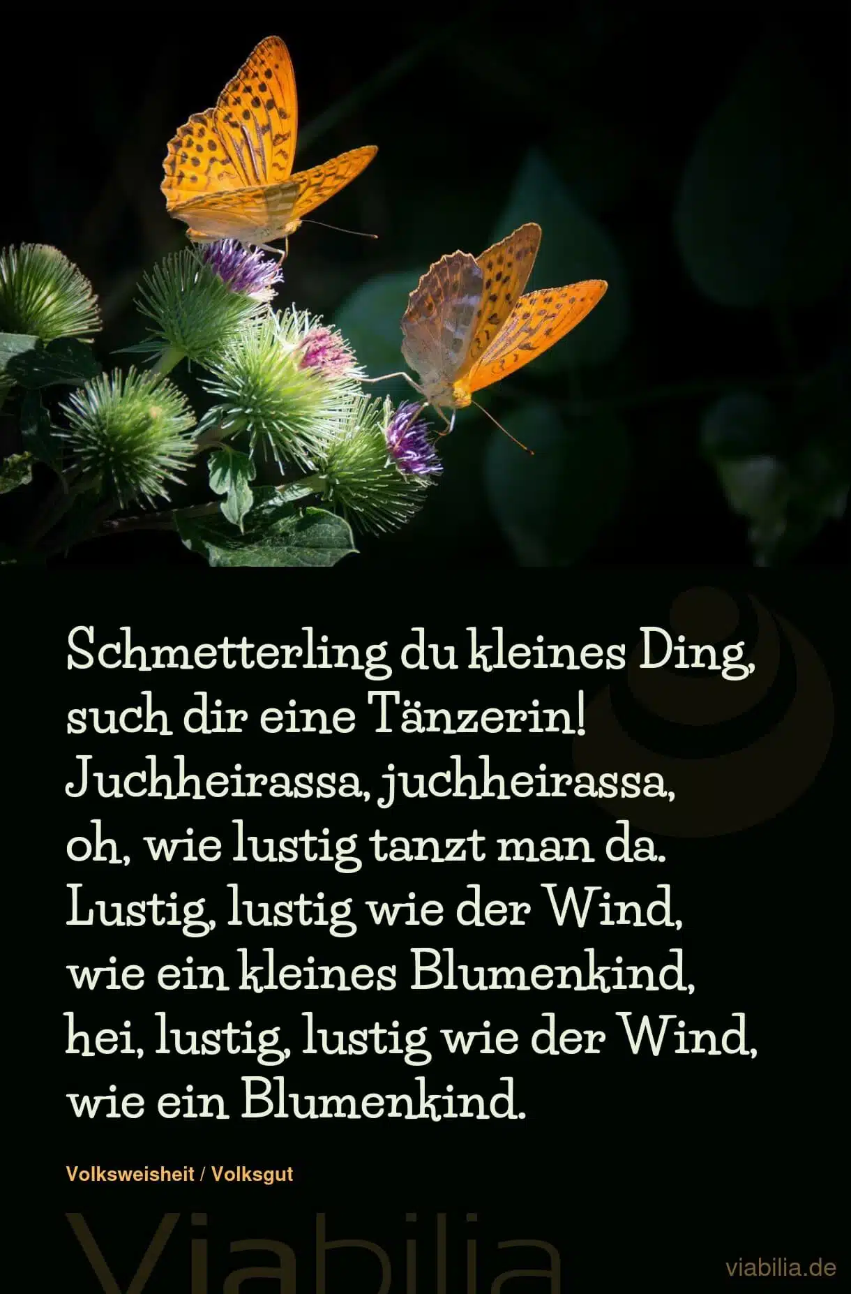 Tierspruch über Schmetterlinge für Kinder