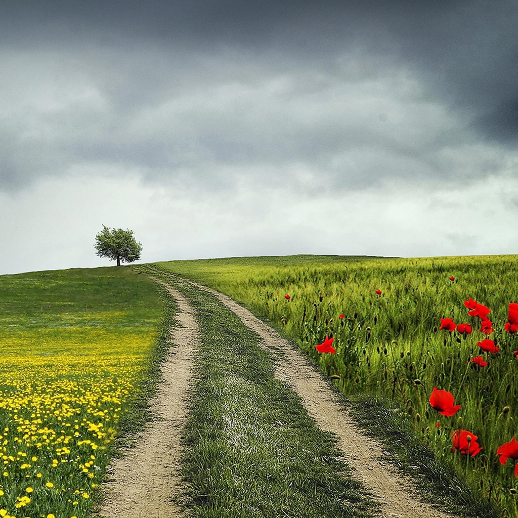 Trauer und Trost Trauer und Trost