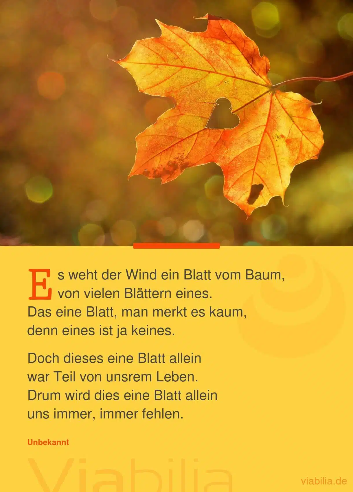 Trauergedicht über einen besonderen Menschen, der einem fehlt