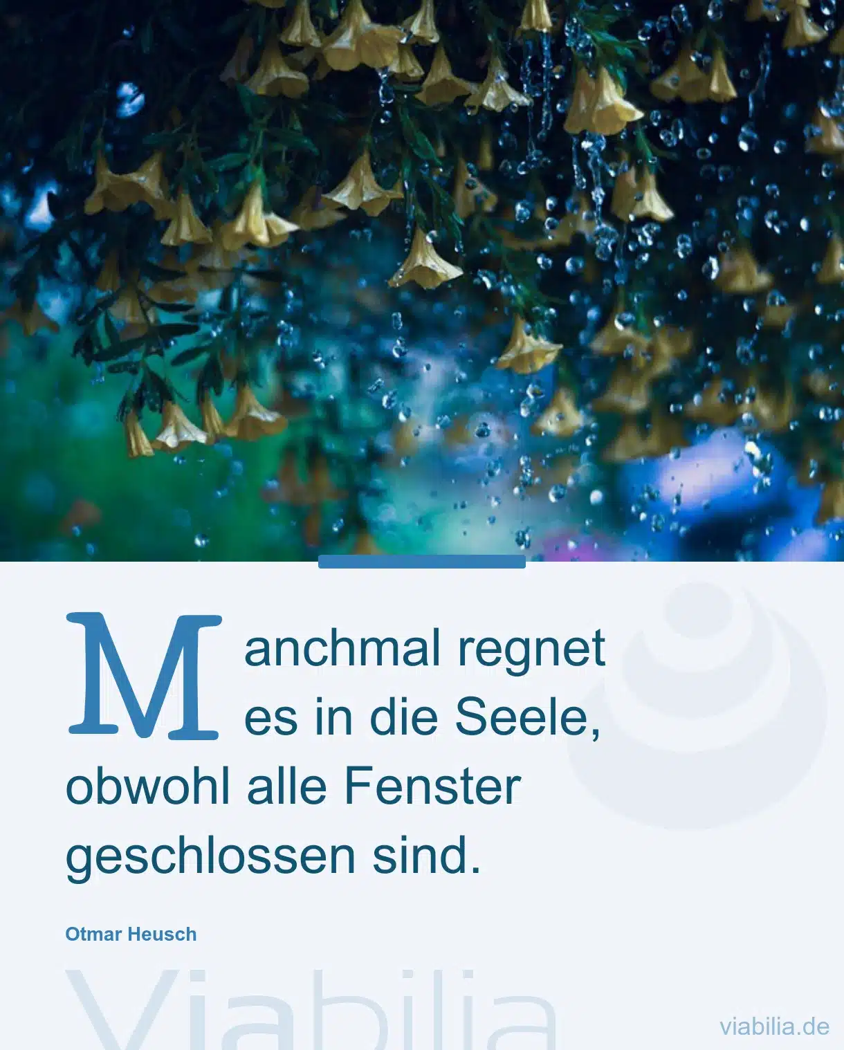 Trauerspruch: es regnet in Seele