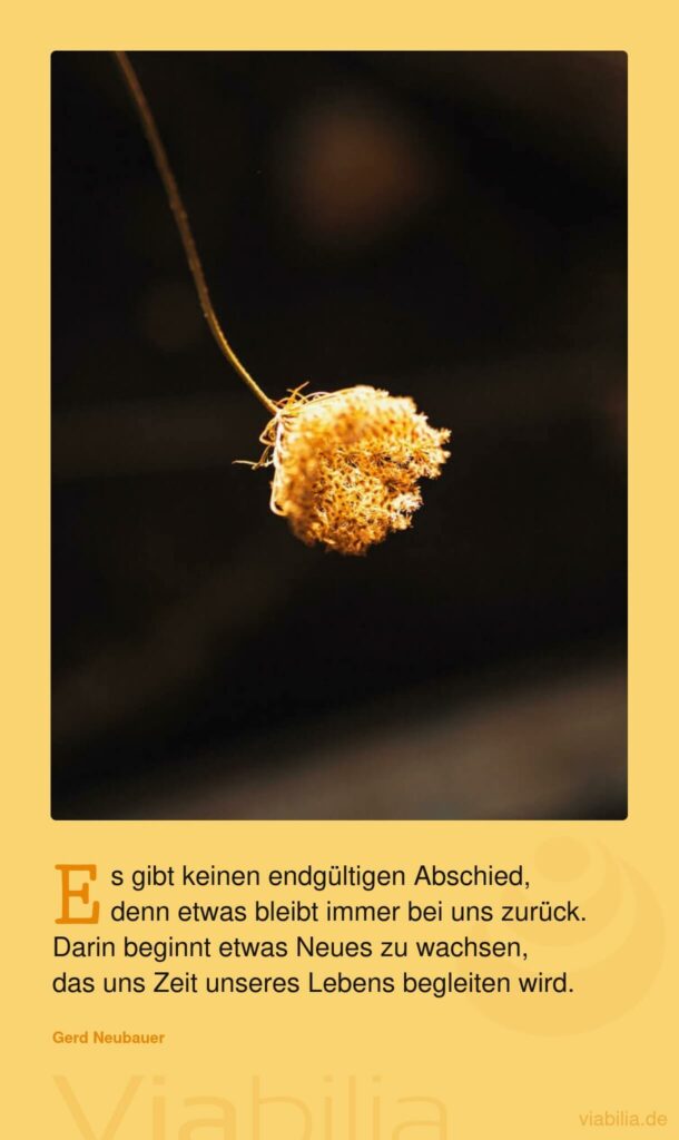 Gerd Neubauer Spruch: Kein endgültiger Abschied