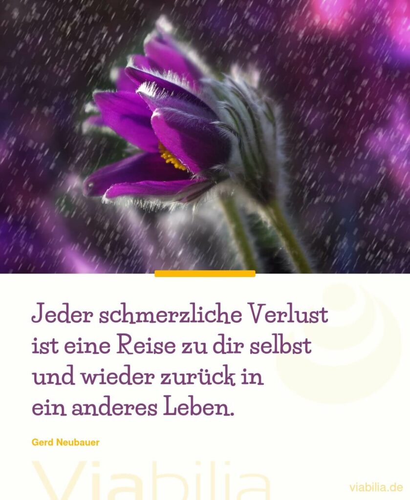 Gerd Neubauer Spruch über schmerzlichen Verlust