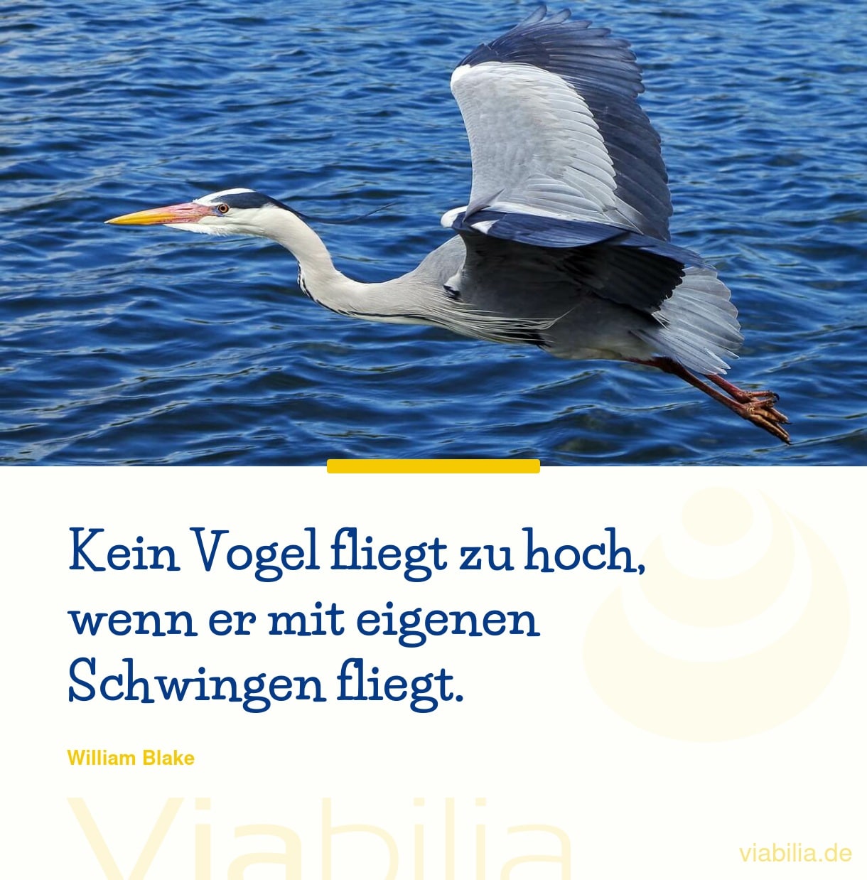 Spruch bzw. Metapher: Vogel mit eigenen Schwingen