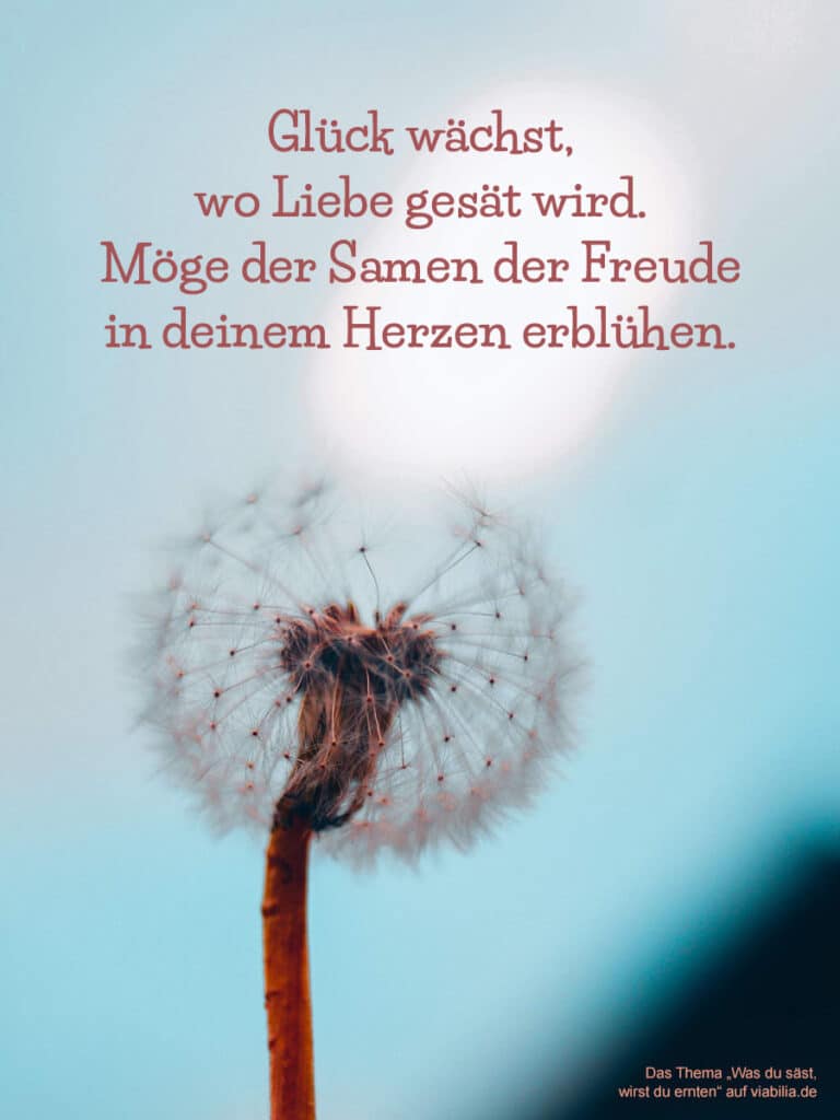 Spruch zum Thema Was du säst, wirst du ernten: Glück wächst, wo Liebe gesät wird. Möge der Samen der Freude in deinem Herzen erblühen.