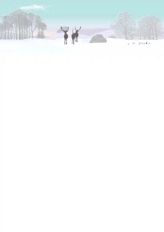 Modernes Weihnachtsbriefpapier für Randlosdrucker, Briefpapier-ID: 5046 Modernes Weihnachtsbriefpapier für Randlosdrucker