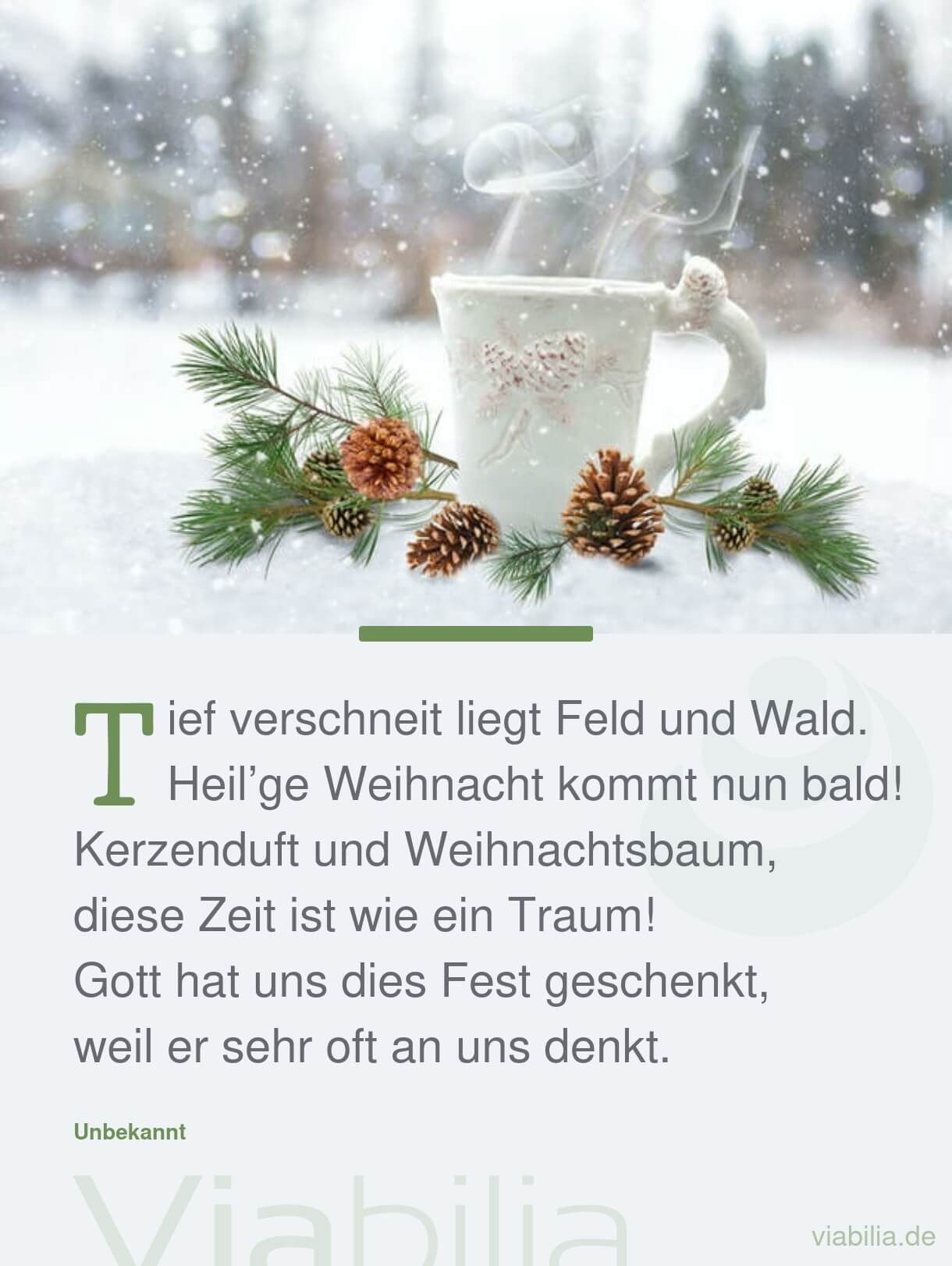 Kurze Weihnachtssprüche, hier Spruch: tief verschneit Kurze Weihnachtssprüche, hier Spruch: tief verschneit