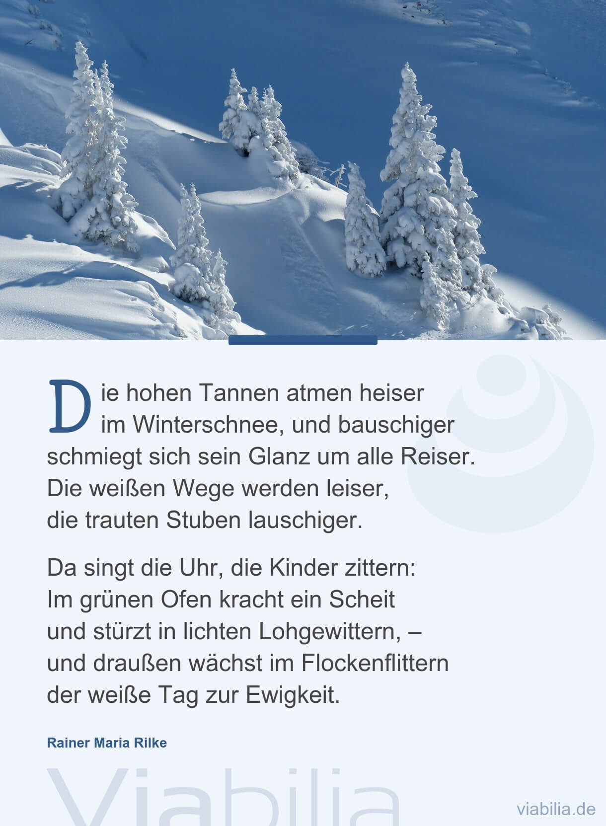 Wintergedicht: hohe Tannen Wintergedicht: hohe Tannen