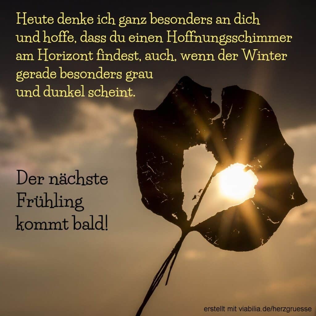 Wintergrüße als Hoffnungsschimmer Wintergrüße als Hoffnungsschimmer
