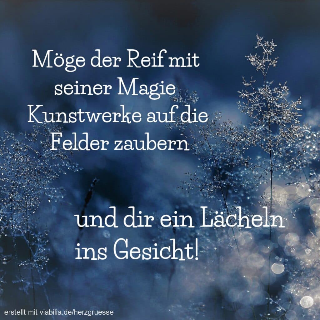 Wintergrüße: Reif mit seiner Magie Wintergrüße: Reif mit seiner Magie