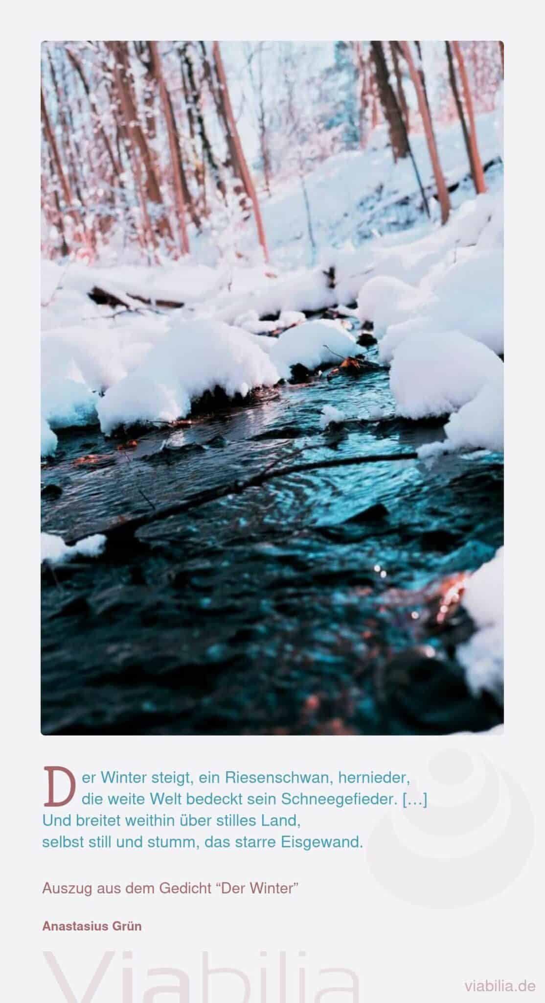 Winterspruch über stilles Land im Winter Winterspruch über stilles Land im Winter