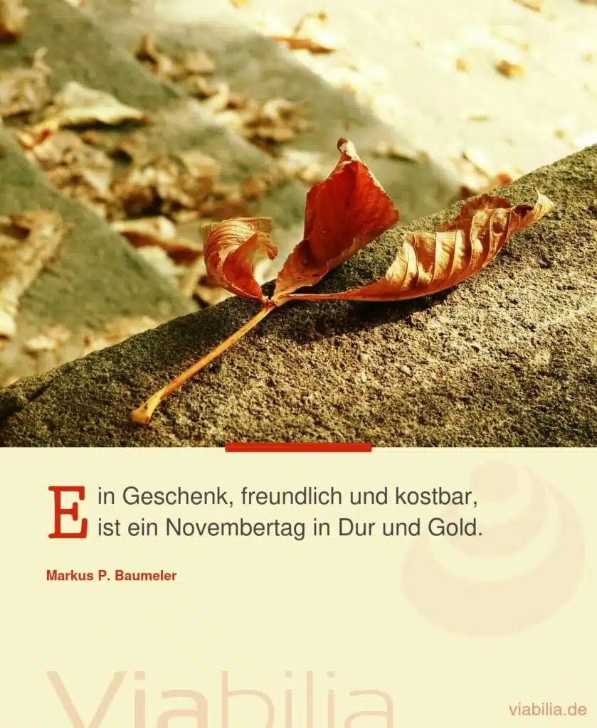 Markus Baumeler Ein Novembertag in Dur und Gold