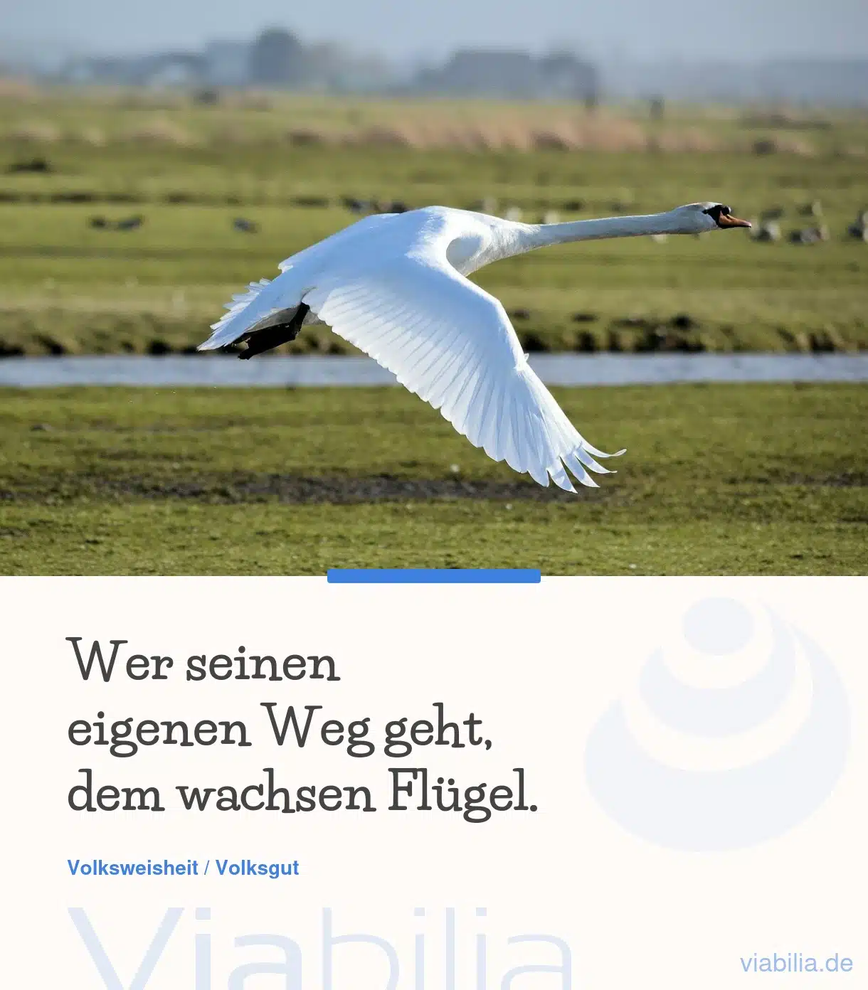 Weisheiten aus dem Zen-Buddhismus
