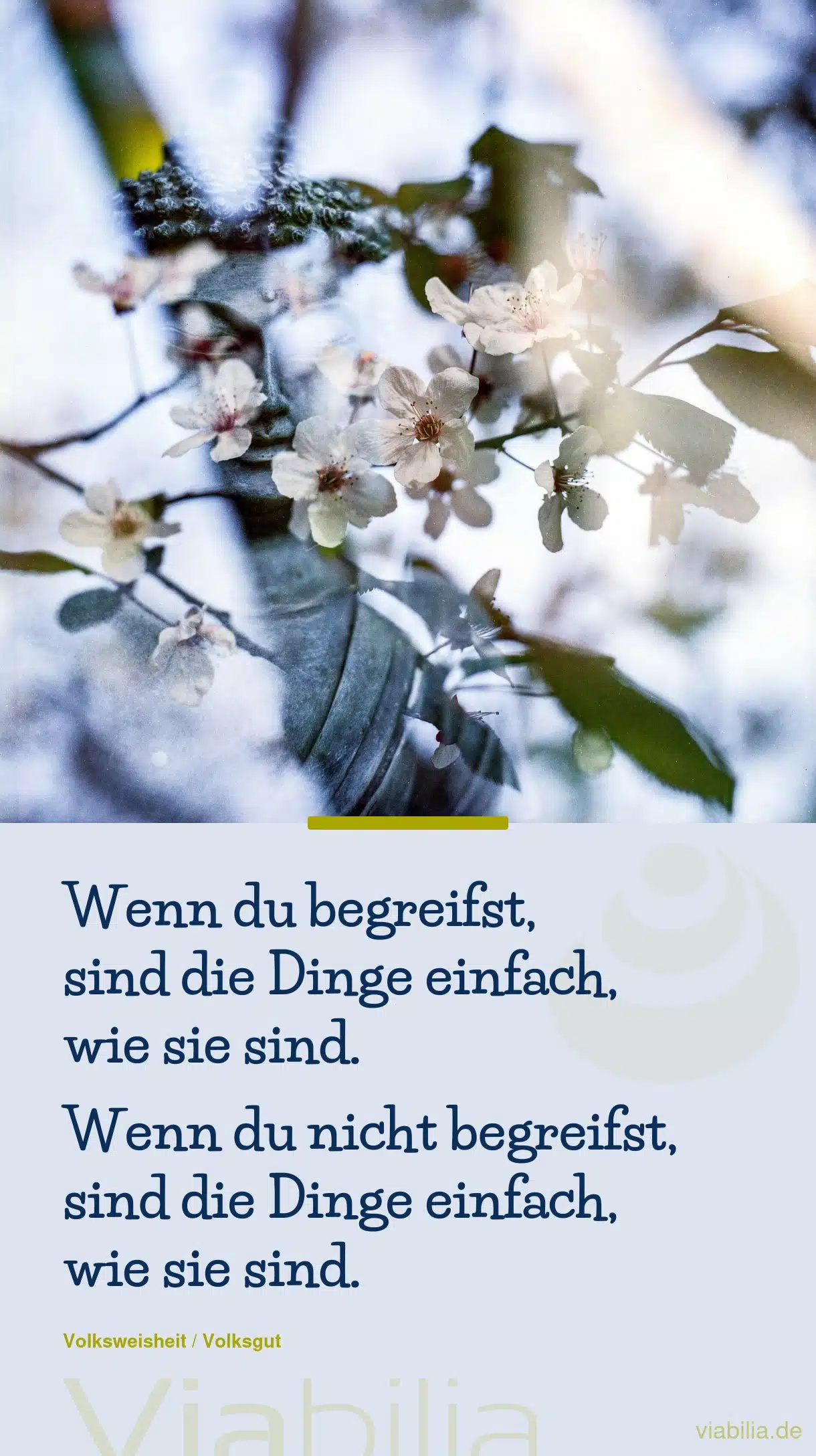 Weisheiten aus dem Zen-Buddhismus