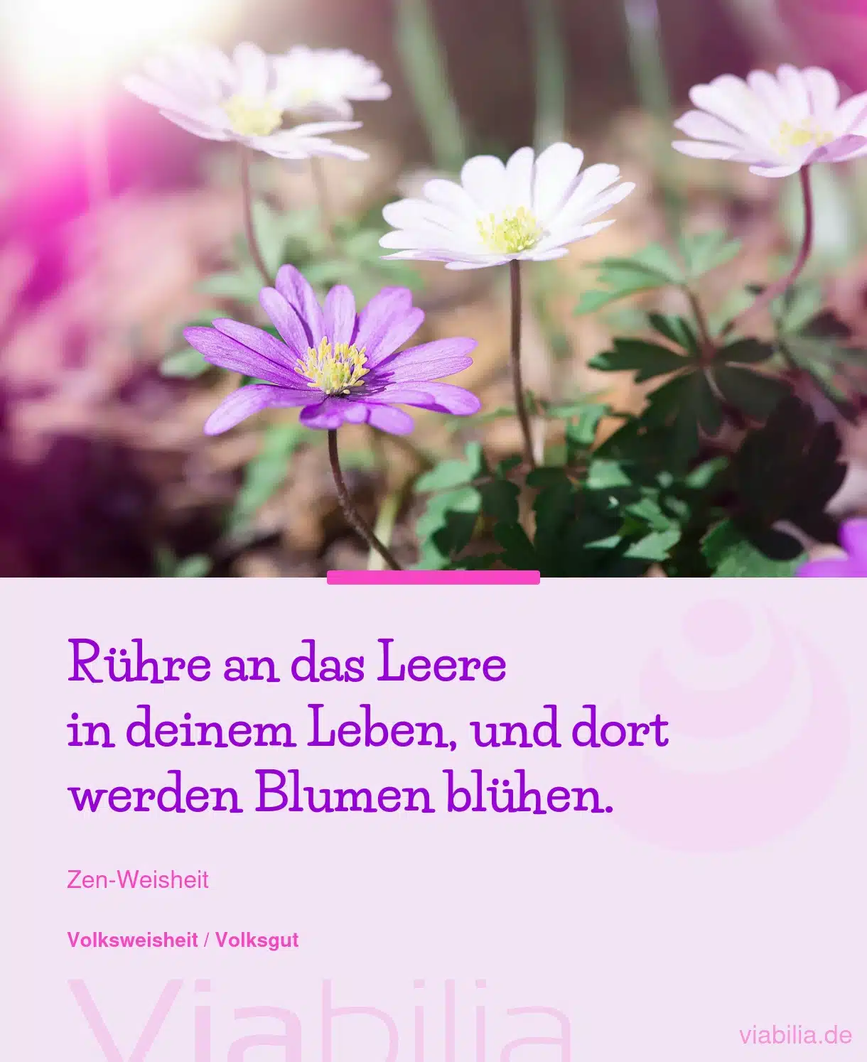 Zen-Weisheit: Leere im Leben