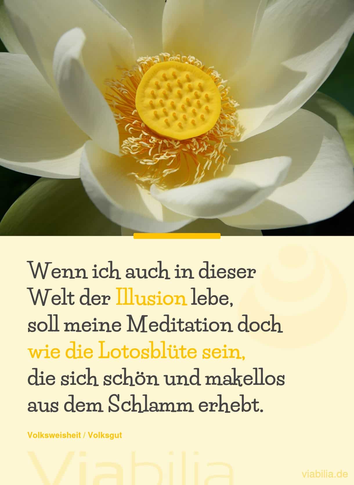 Zen-Weisheit: Welt der Illusion